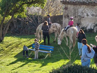 22b702eb-da85-41ee-bb68-bfbf79d5f3fe