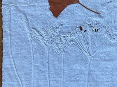 le papier dans tous ses états (2)